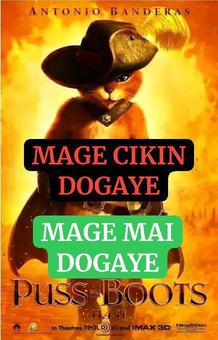 MAGE MAI DOGAYE